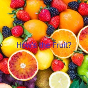 How's the Fruit?