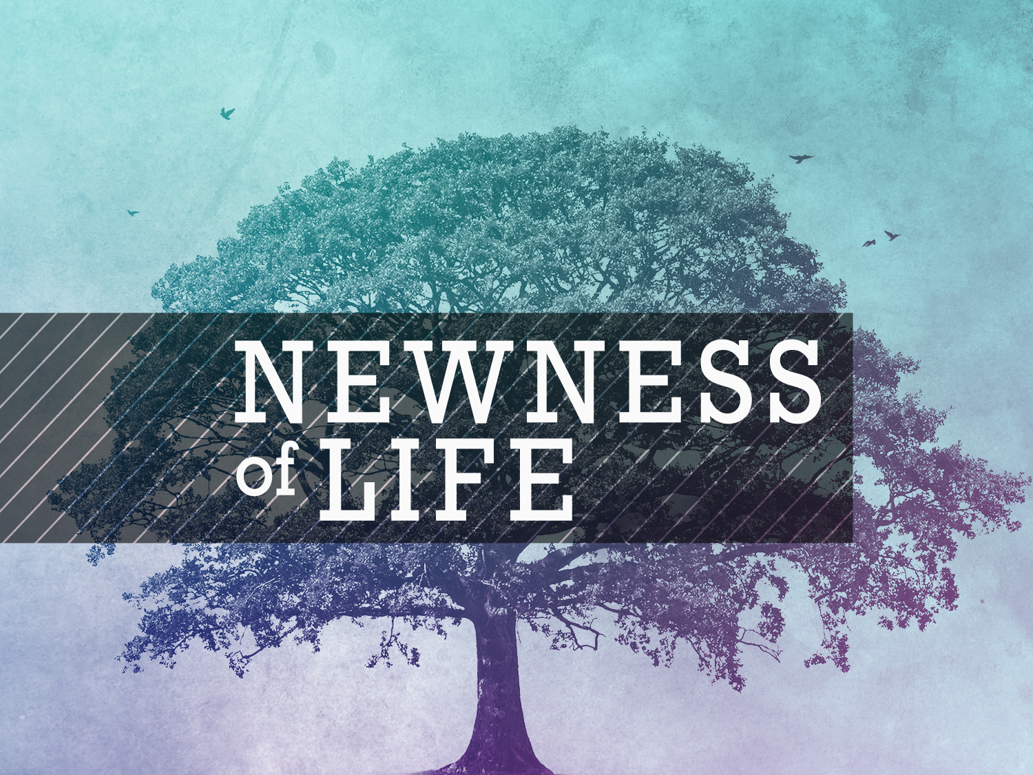 Walking in Newness of Life