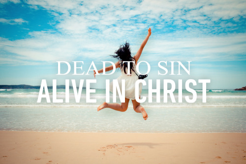 Alive in Him