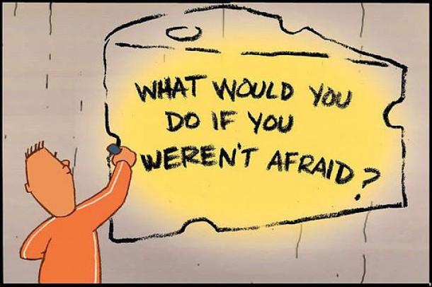 what would you do if you weren't afraid?