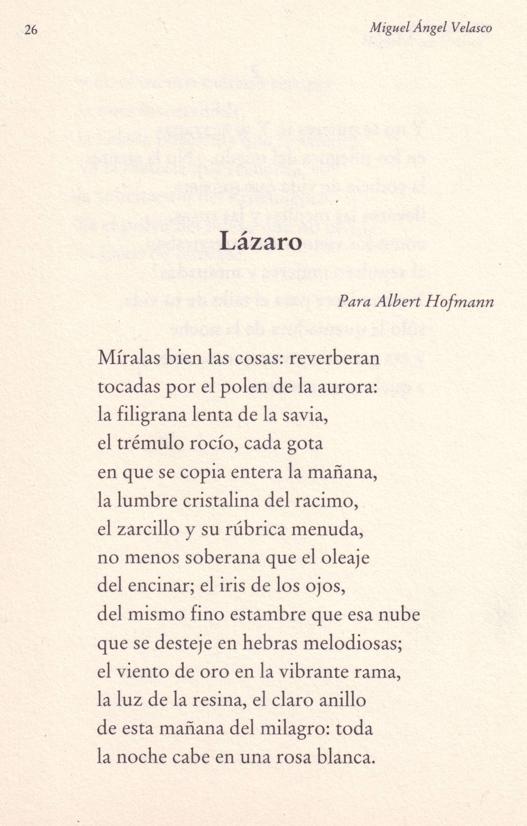 Lázaro. Poema para A. Hoffman, de Miguel Á. Velasco. En: El dibujo de la savia, Ed. Lucina, 1998