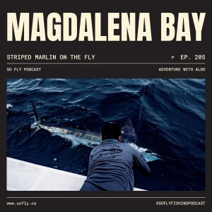 EP 205 Magdalena Bay: Fly Fishing for Striped Marlin and MORE on Mag Bay