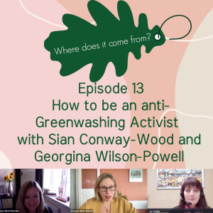 Episode 13 - How to be an anti-greenwashing activist with Sian Conway-Wood and Georgina Wilson-Powell