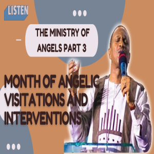 THE MINISTRY OF ANGELS PART 3