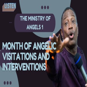 THE MINISTRY OF ANGELS 1