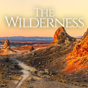 The Wilderness | Part 1