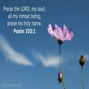 PSummer in the Psalms#4 Psalm 103 All the Time!
