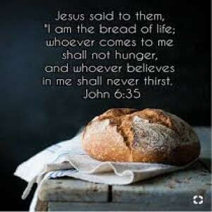 Close Encounters (part 2) “The Bread That Divides” John 6