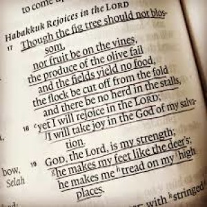 “Yearning for Better this Memorial Day” Habakkuk 1:1-4 & 3:17-19