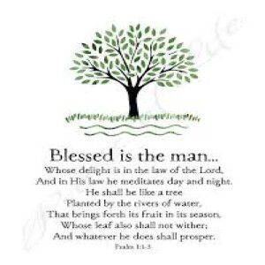 PSummer in the Psalms#1 Psalm 1