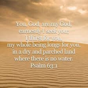 PSummer in the Psalms#3 Psalm 63 Worship in the Wilderness