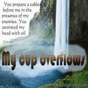 (part 7) More than Surviving: “The Overflow” Psalm 23:5-6