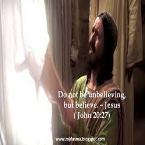 Take the Plunge (part 7) “Moving through Doubts to Faith” John 20:24-29
