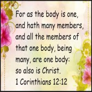 Body Building 1 Corinthians 12:12 & 27