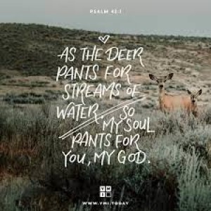 Help from the Psalms Part Five—”Hope in the Dark” Psalm 42