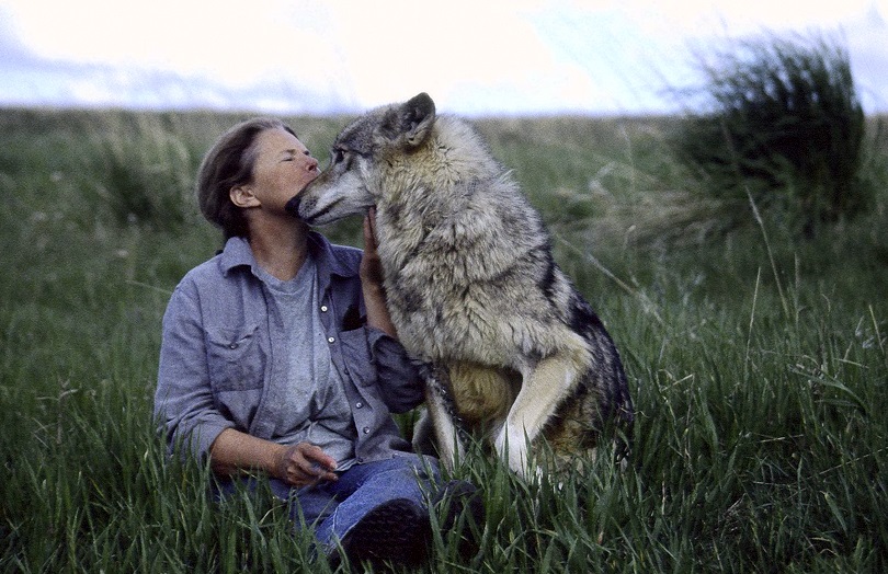 Becoming Students Of The Wisdom And Intelligence Of Animals, With Dr. Susan Eirich