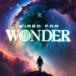 Joy in Wonder | Wired for Wonder | Phil EuBank