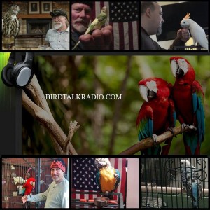 ABOUT BIRD TALK LIVE ONLINE