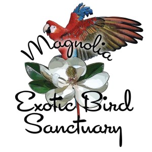 Magnolia Exotic Bird Sanctuary Part1 Segment2