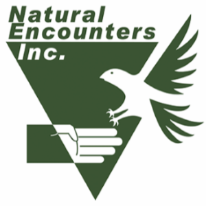 Steve Martin President Natural Encounters part three