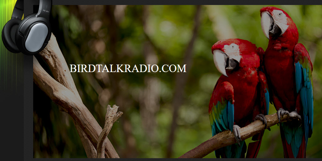 Avian Veterinarian Ross Perry Shares Experience LIVE on air! - part one