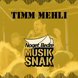 Timm Mehli