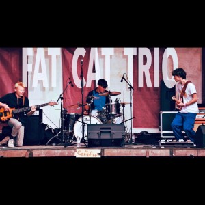 Fat Cat Trio