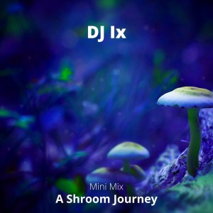 A Shroom Journey (432Hz Mini Mix)