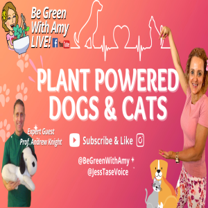 Plant Based Dogs and Cats Professor Andrew Knight
