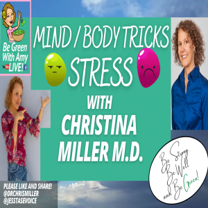 How to Deal With Stress -  Mind/Body Jedi Tricks to Mitigate Stress Dr. Christina Miller, MD