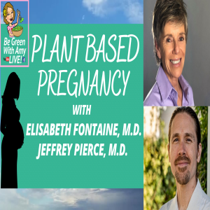 Pregnancy - The power of lifestyle to help support a healthy pregnancy. Dr.  Pierce and Dr. Fontaine
