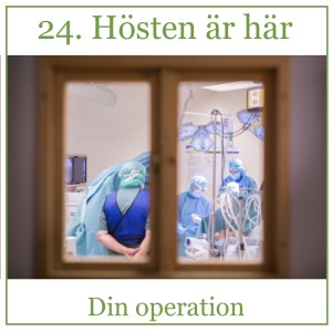 24. Din operation - Hösten är här!