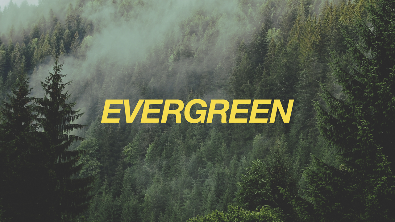 Evergreen: Stay Strong