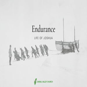 Endurance: Life of Joshua