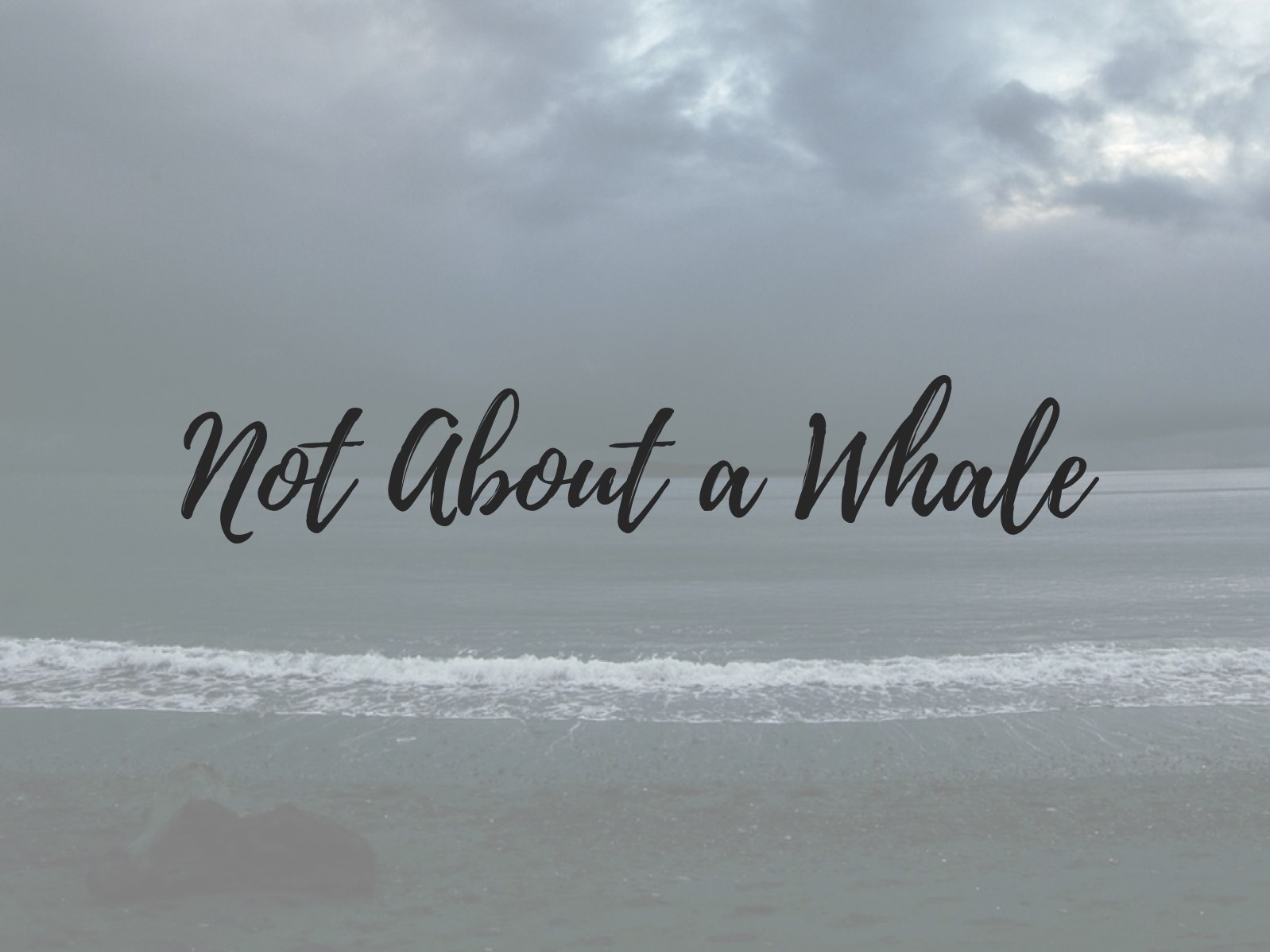 Not About a Whale 