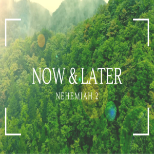 Now & Later
