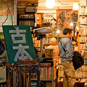 Tidsskrifter, forlag og litteraturpriser
