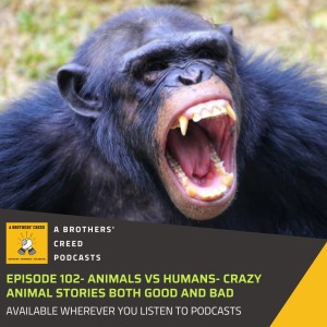 #102- Animals vs Humans- Crazy Animal Stories both good and bad