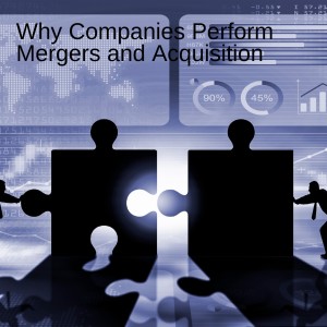 Why Companies Perform Mergers and Acquisition