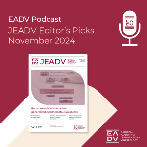 E125: Editor’s Picks November 2024