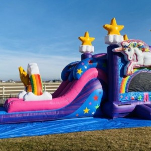 Water Slide Rentals Scottsdale