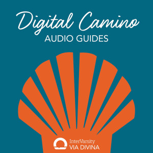 Audio Guide Instructions