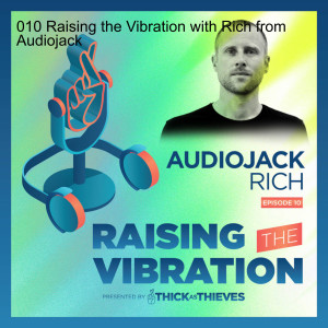 010 Raising the Vibration with Rich from Audiojack