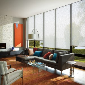 Roller Blinds Vancouver