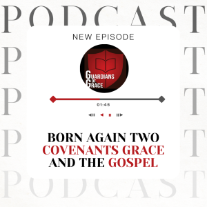 BORN AGAIN TWO COVENANTS GRACE AND THE GOSPEL