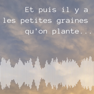 Episode 1 - Planter les graines