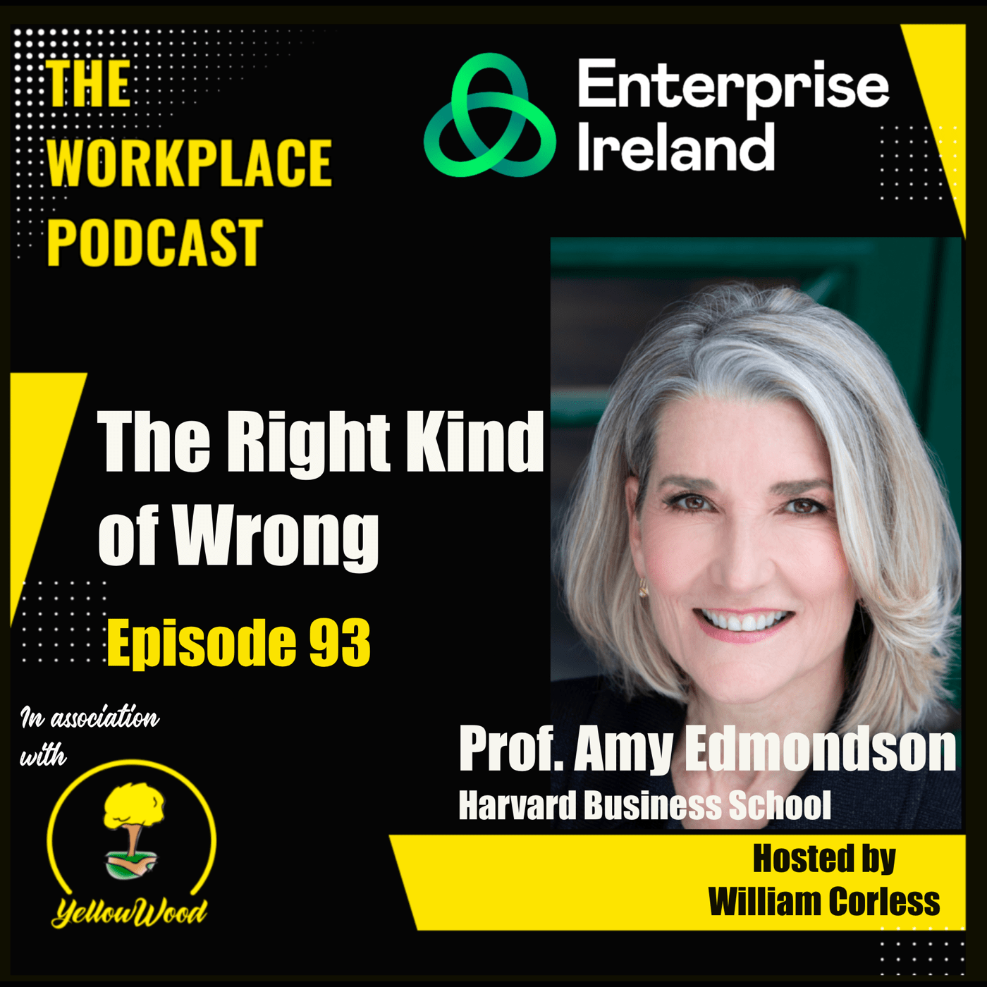 Episode 93: The Right Kind of Wrong with Amy Edmondson