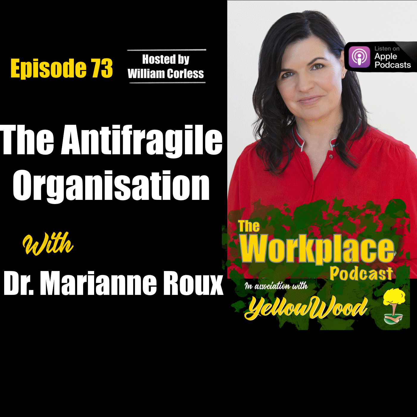 Episode 73: The Antifragile Organisation with Dr. Marianne Roux