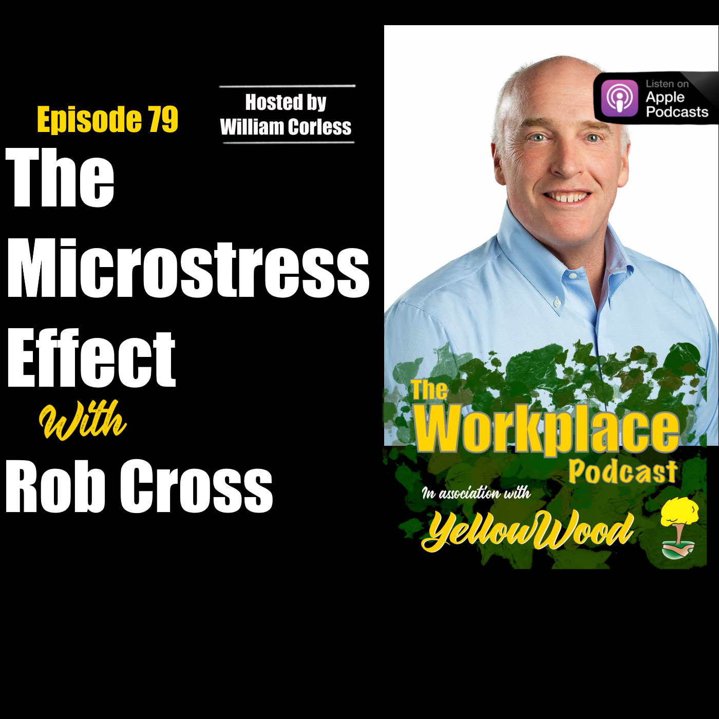 Episode 79: The Microstress Effect with Rob Cross