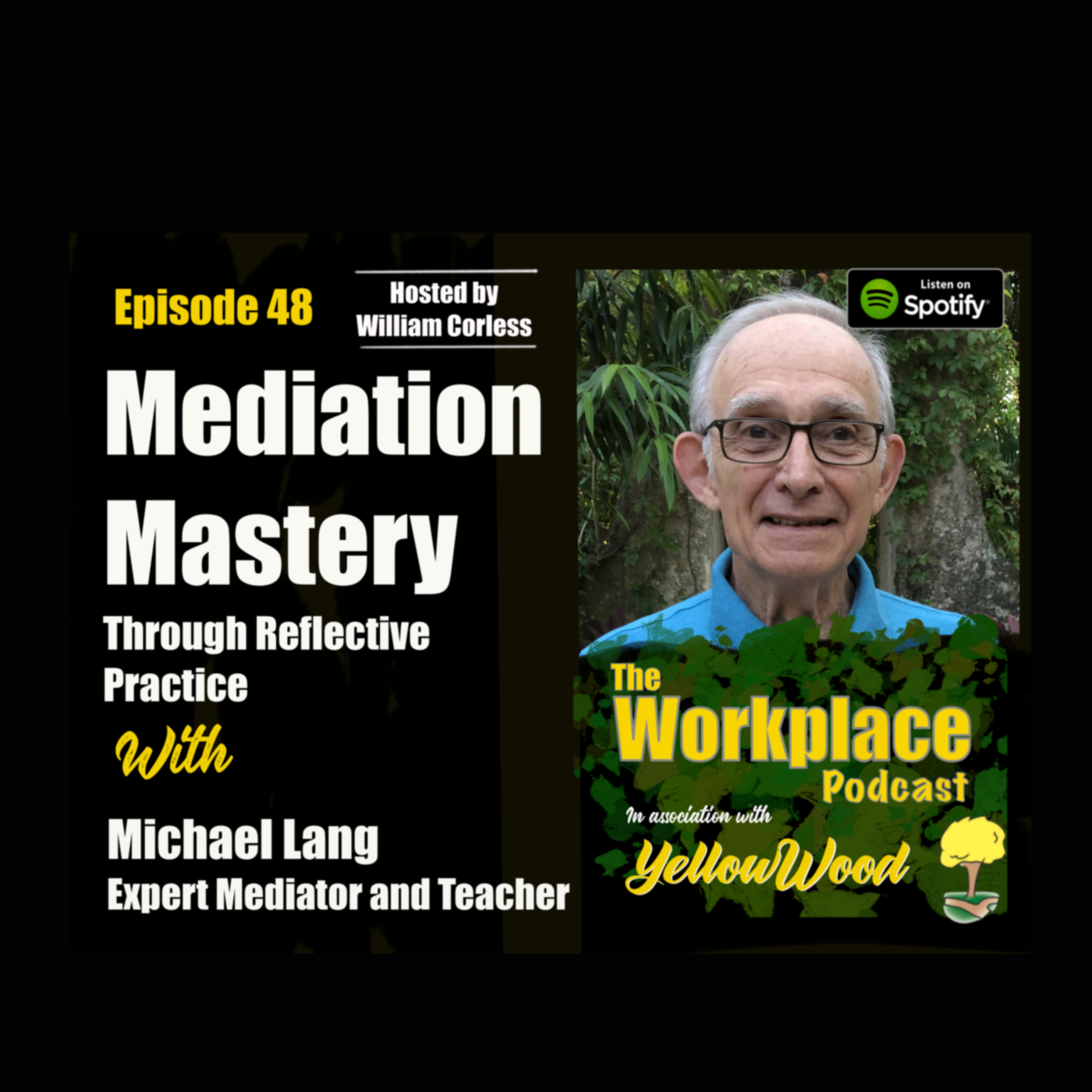 Episode 48: Mediation Mastery through reflective practice with Michael Lang